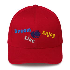 Structured Twill Cap